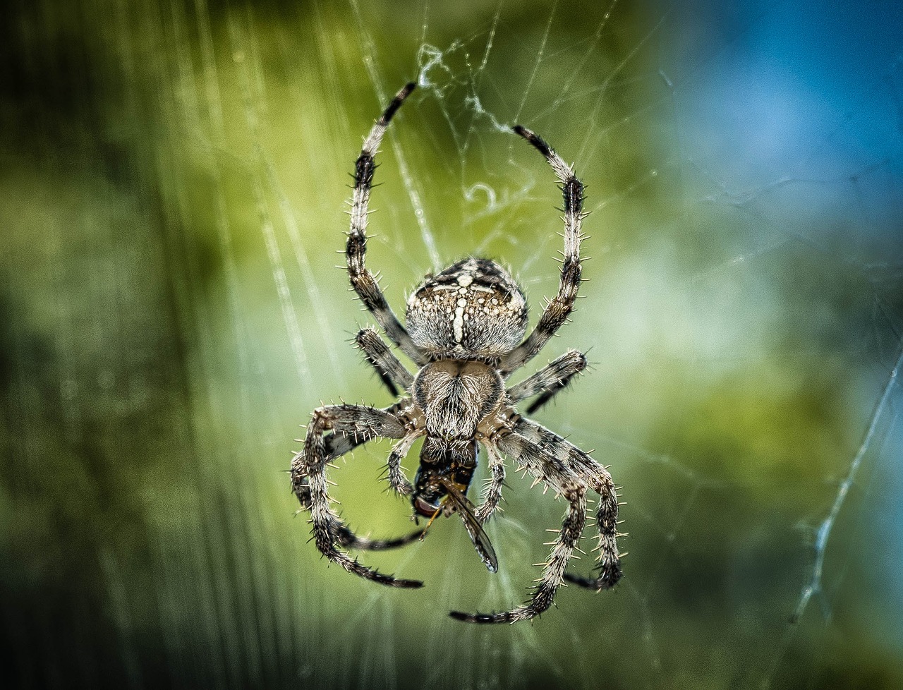 3 sistemi fai da te bio contro gli insetti infestanti