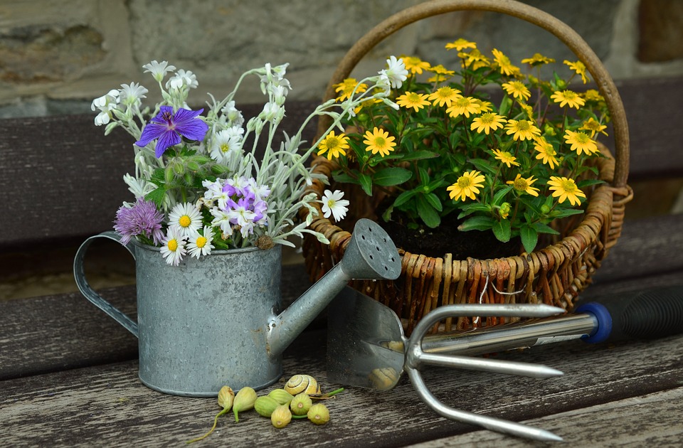 Una regola al giorno per prendersi cura del proprio giardino in estate