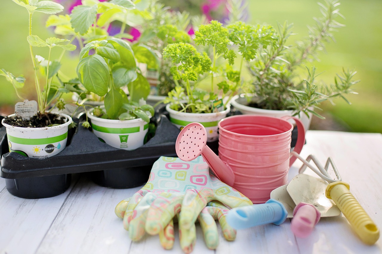 Giardinaggio in primavera: tutti i lavori da fare